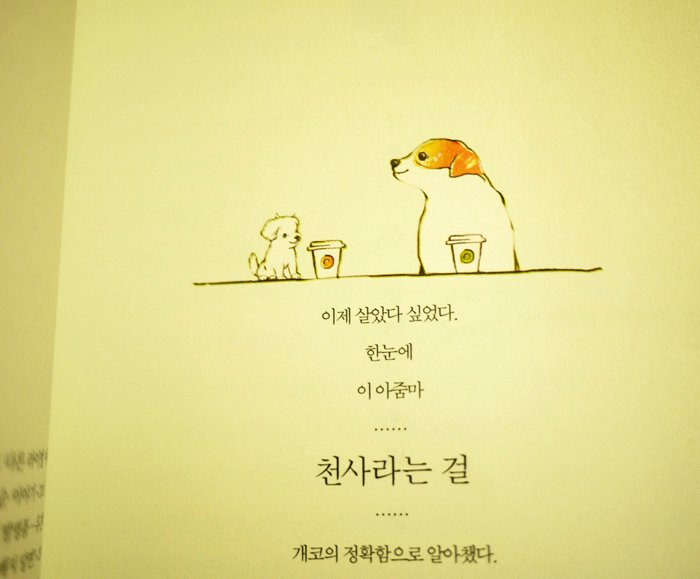 saebom_1