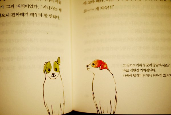 saebom_13