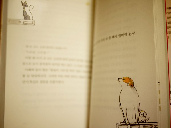 saebom_16