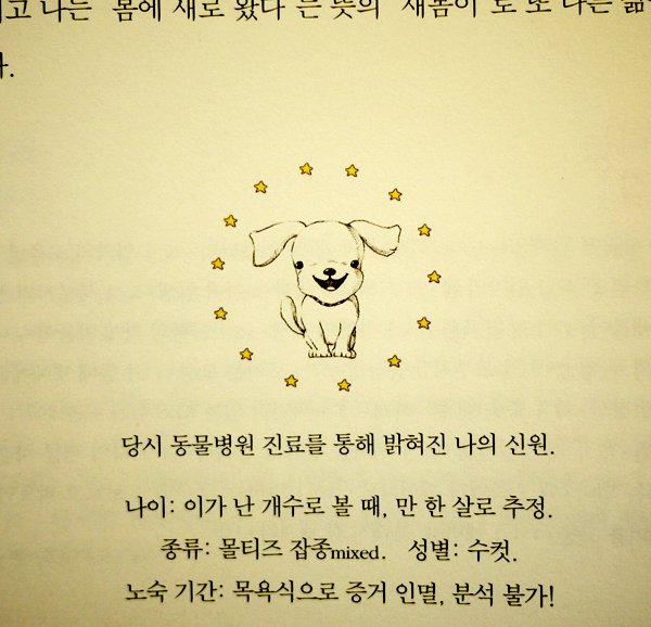 saebom_3
